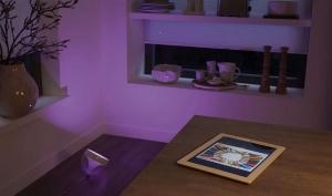 Philips Hue Iris